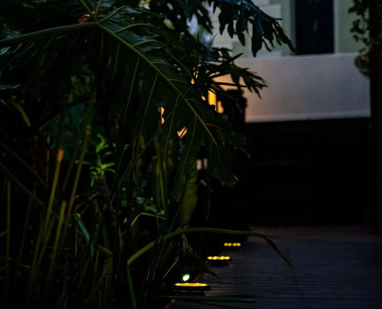 Green Point'S Pod - Indulge In An Urban Oasis Cape Town 0*,